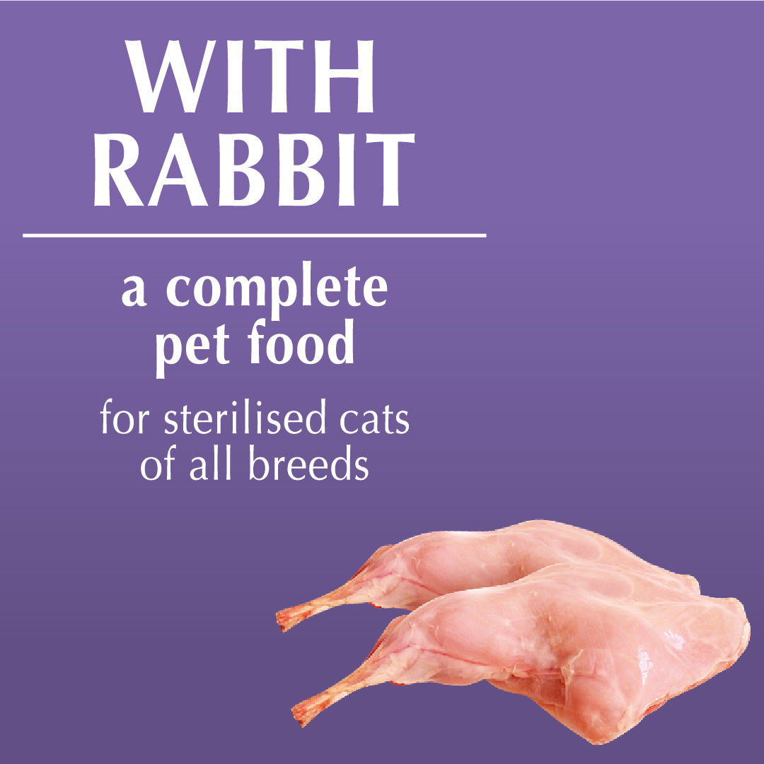 Piper Cat with Rabbit Sterilized – dnp-me.com