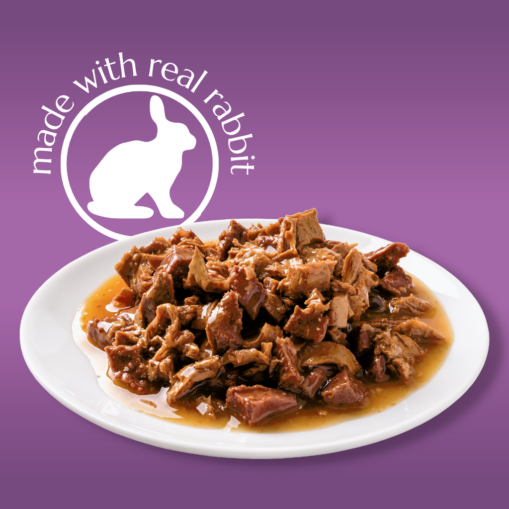 Piper Cat with Rabbit Sterilized – dnp-me.com